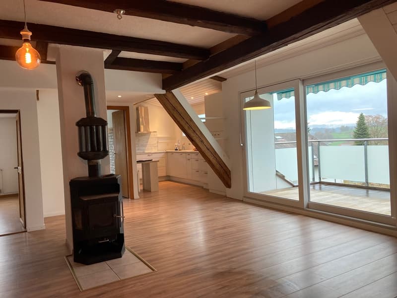 Schöne gemütliche Dachwohnung (1)