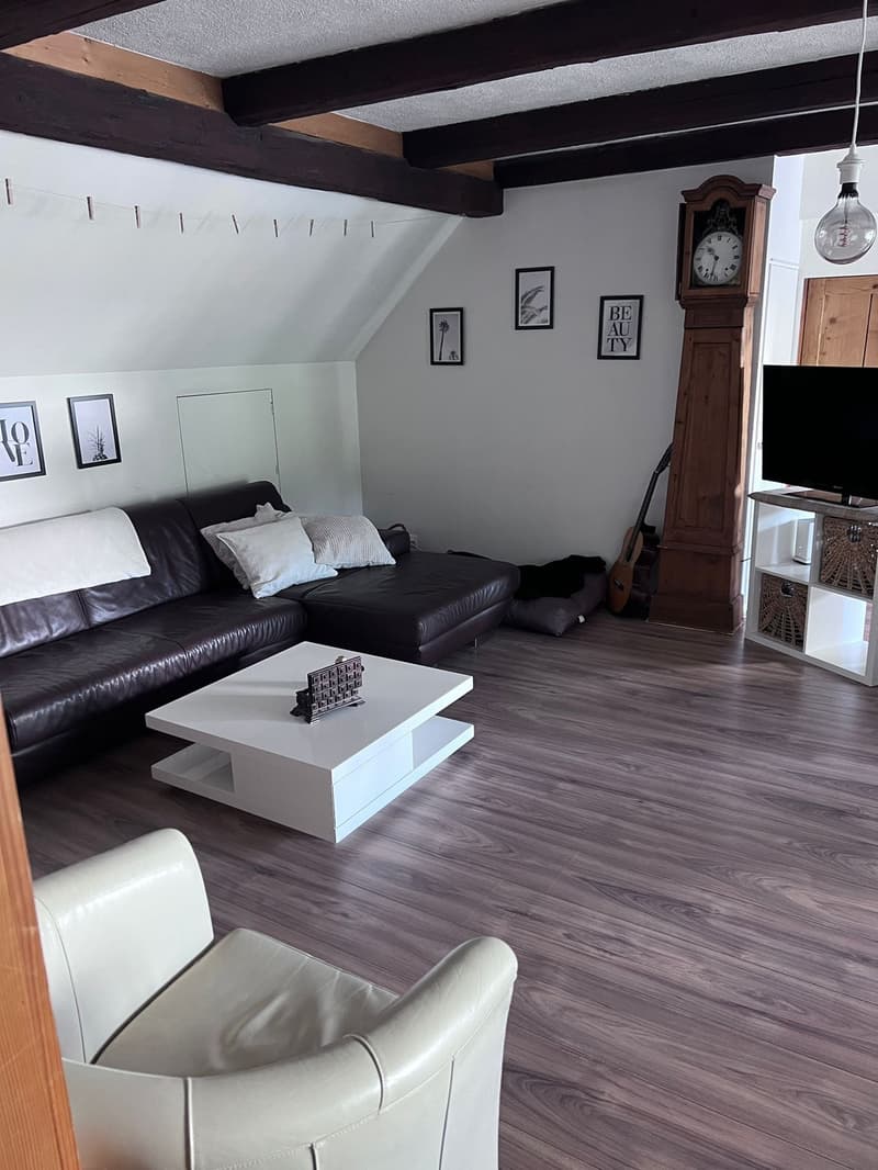Schöne gemütliche Dachwohnung (3)