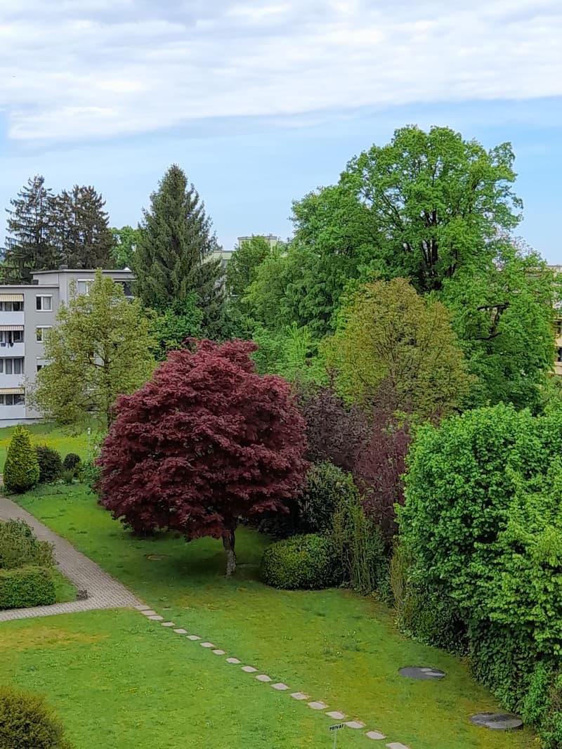 6 Zimmer Attika-, Maisonette Wohnung mit Seesicht (9)