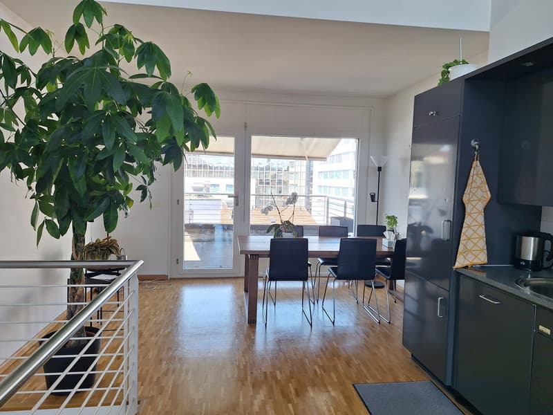 Maisonette-Wohnung am Bahnhof - Duplex apartment next to SBB (5)
