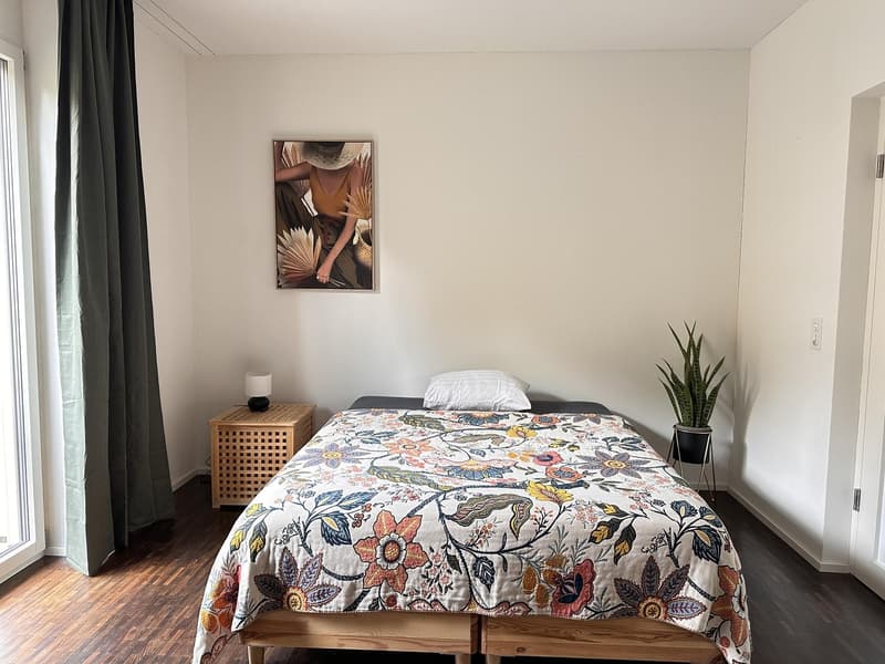 Fully furnished apartment with two bed rooms limited till the end of June 2027 (11)