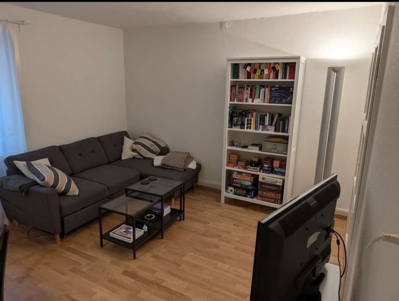 3-room apartment in Zürich Oerlikon Looking for a Nachmieter (2)