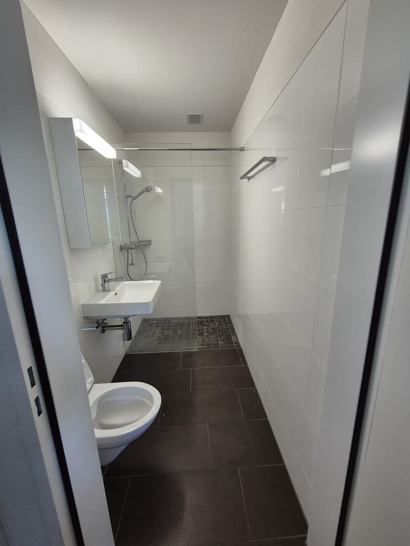 Wunderschöne, durchdachte 3 1/2 Zimmerwohnung (10)
