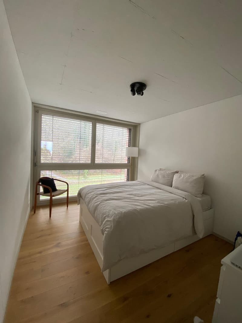 Private Room in Lake View Design Furnished Apartment (8)