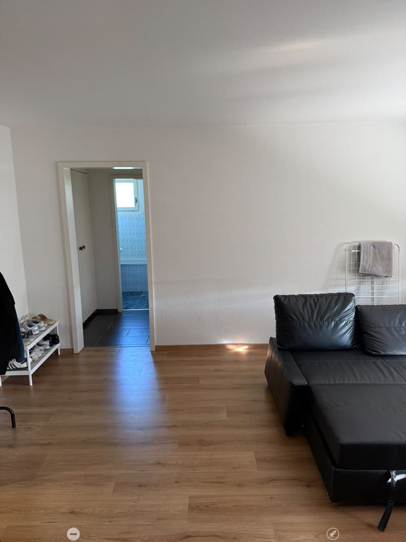 Helle 2.5-Zimmerwohnung an zentraler Lage in Biel (4)