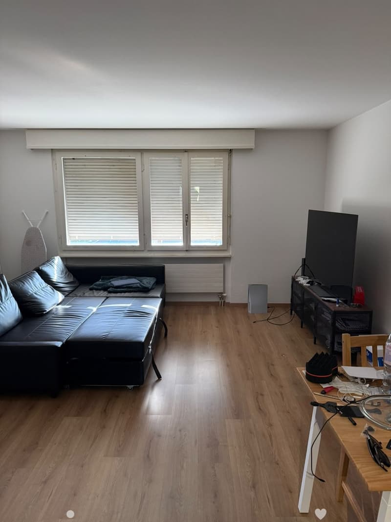 Helle 2.5-Zimmerwohnung an zentraler Lage in Biel (1)