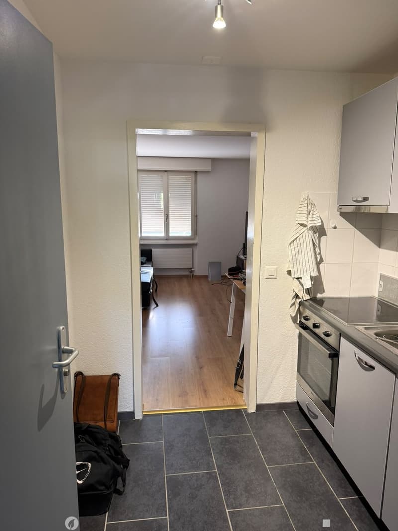 Helle 2.5-Zimmerwohnung an zentraler Lage in Biel (7)