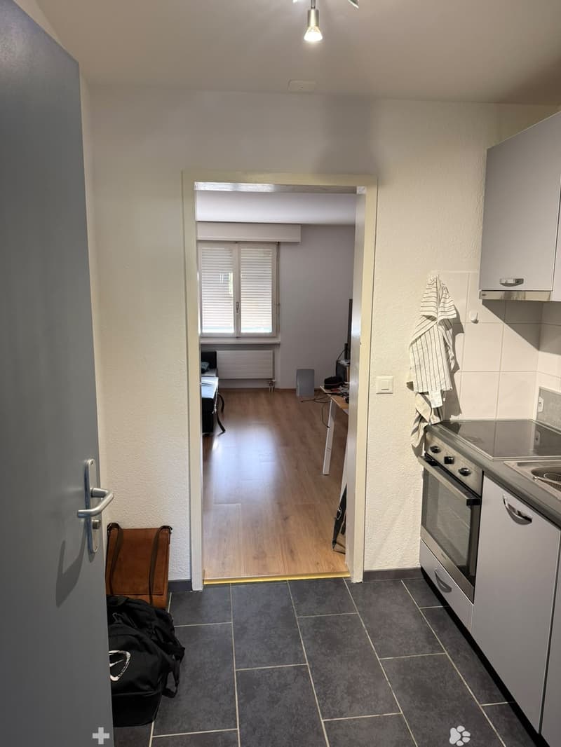 Helle 2.5-Zimmerwohnung an zentraler Lage in Biel (6)