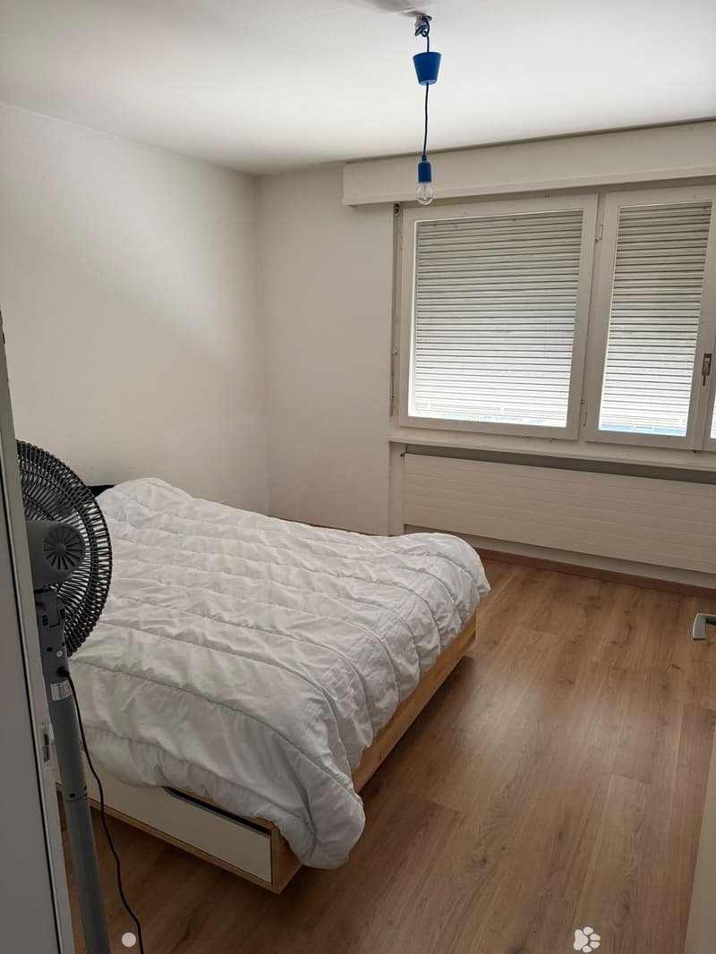 Helle 2.5-Zimmerwohnung an zentraler Lage in Biel (3)