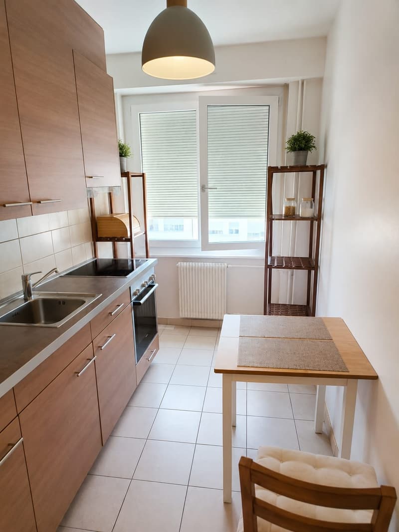 Reprise de bail  Appartement 4 pièces avec balcon  Avenue Wendt, Genève (3)