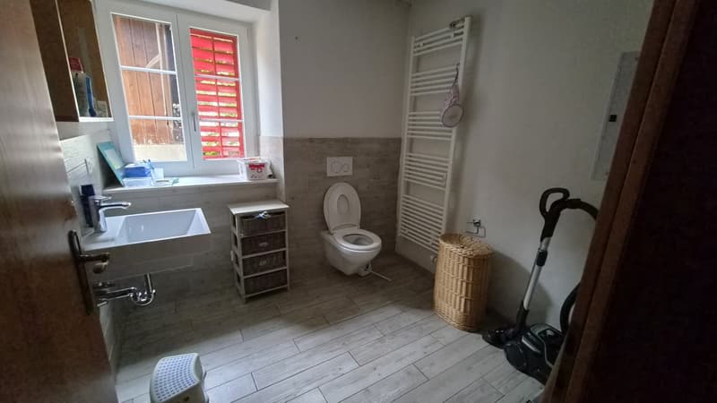 Einfamilienhaus mit 7 Zimmer, Garten und Aussenparkplätzen (5)