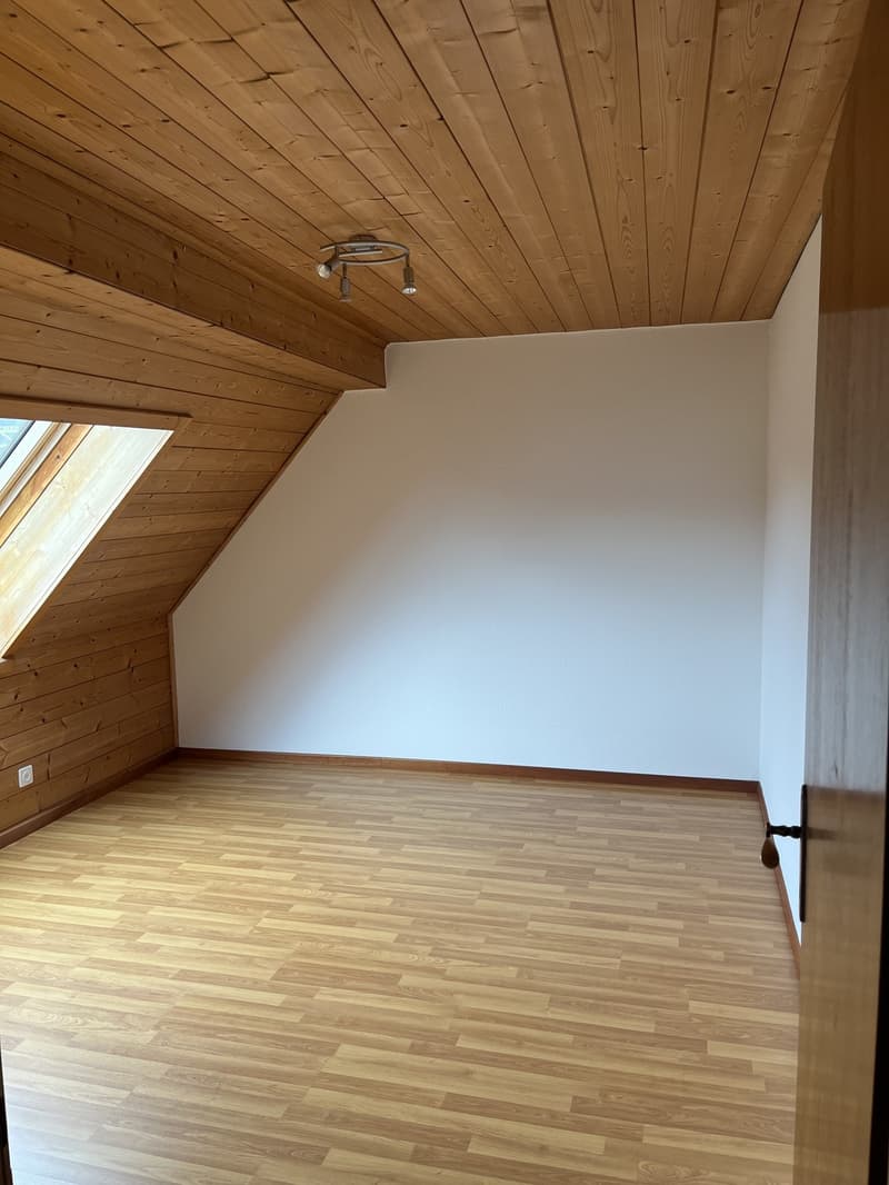6.5-Zimmer-Wohnung auf dem Land (13)