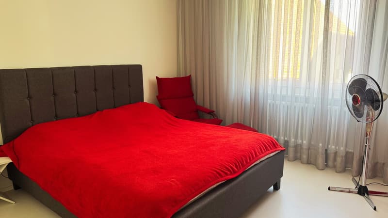 3-room apartment in Horgen  available for 2 Months (extension possible) (2)