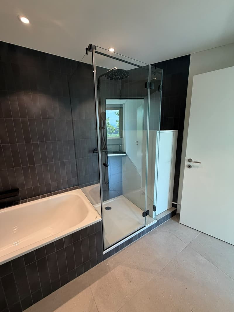 4.5-Zimmer helle und moderne Wohnung (7)