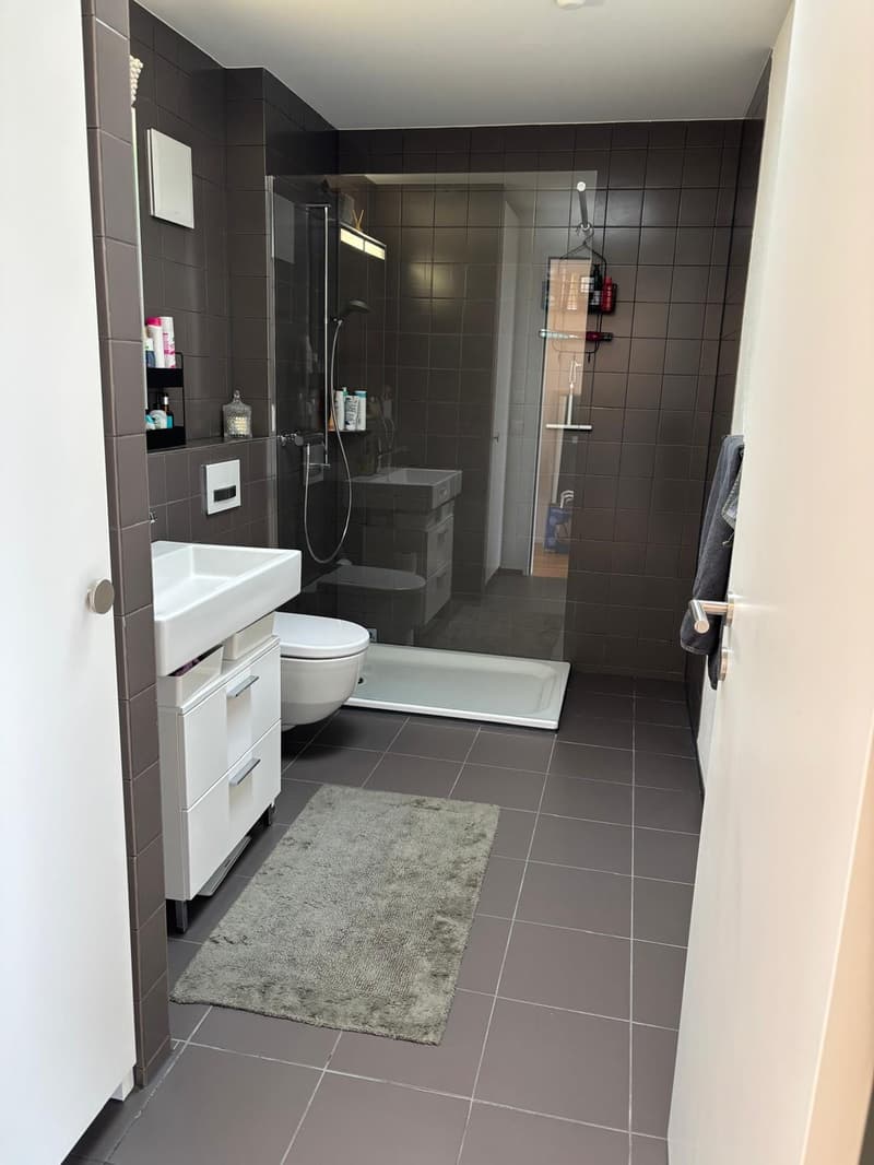 Moderne möblierte 2½-Zimmer-Wohnung in Zürich-Wollishofen (4)