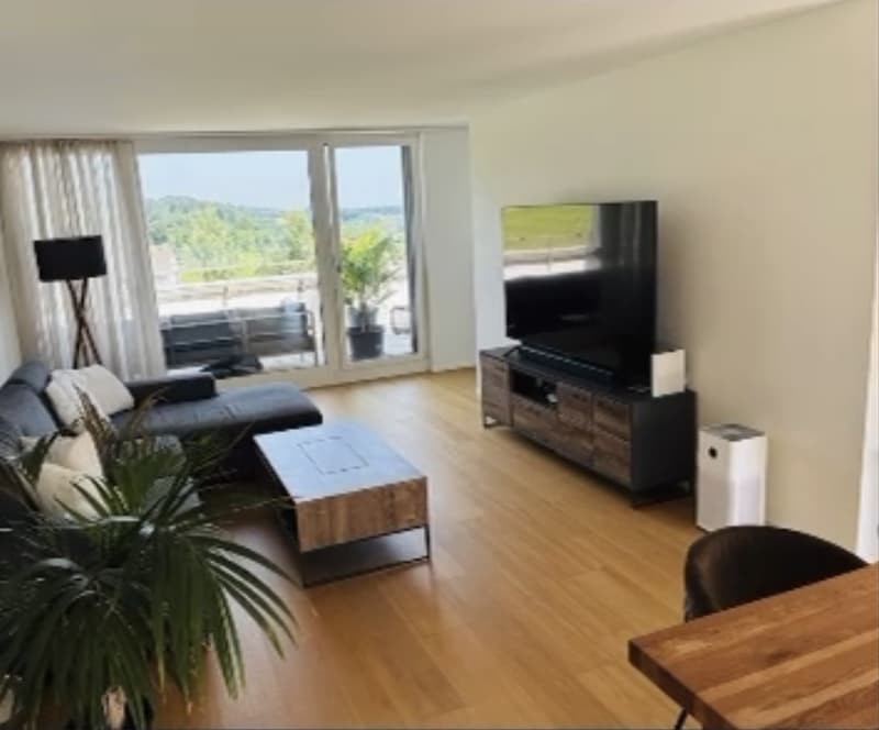 Nachmieter für wunderschöne 3.5 Zimmer-Attikawohnung gesucht (1)