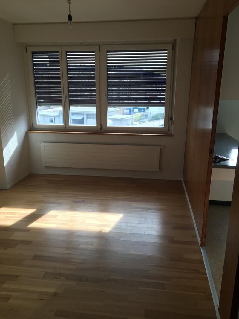 4.5 Zimmer Wohnung mit Dachterrasse (2)