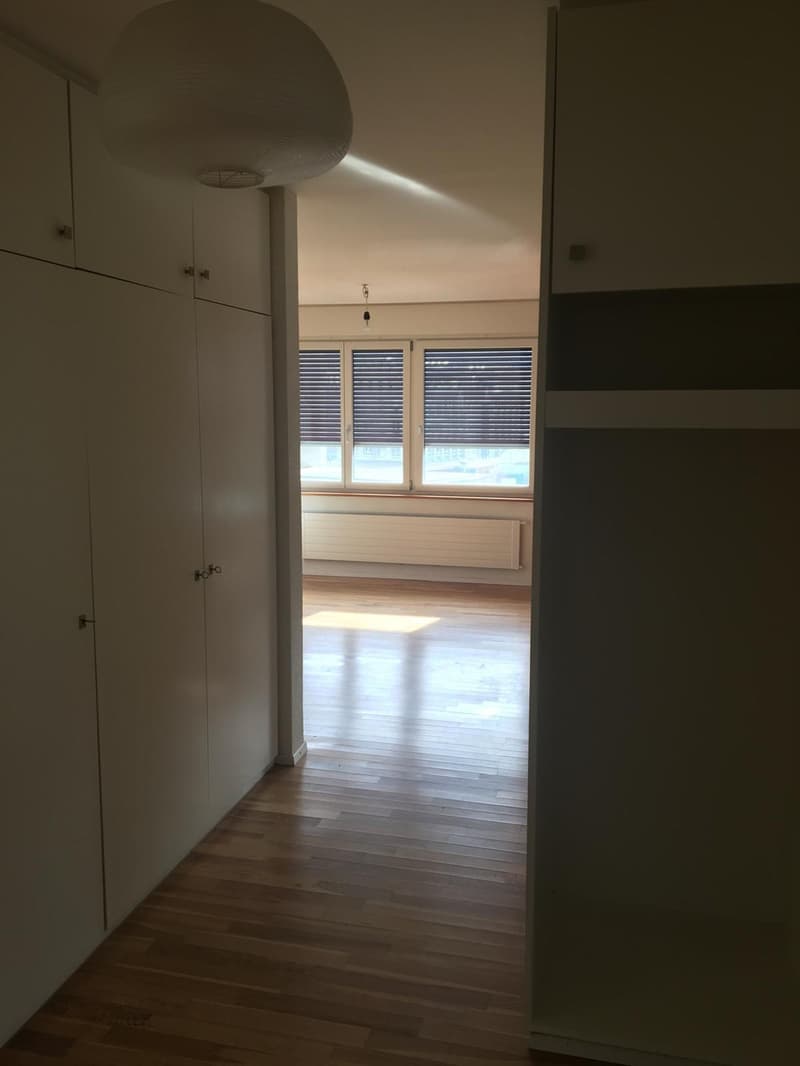 4.5 Zimmer Wohnung mit Dachterrasse (8)