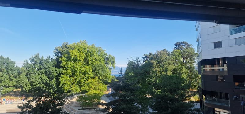 Appartement 4,5 pièces Morges Églantine (4)