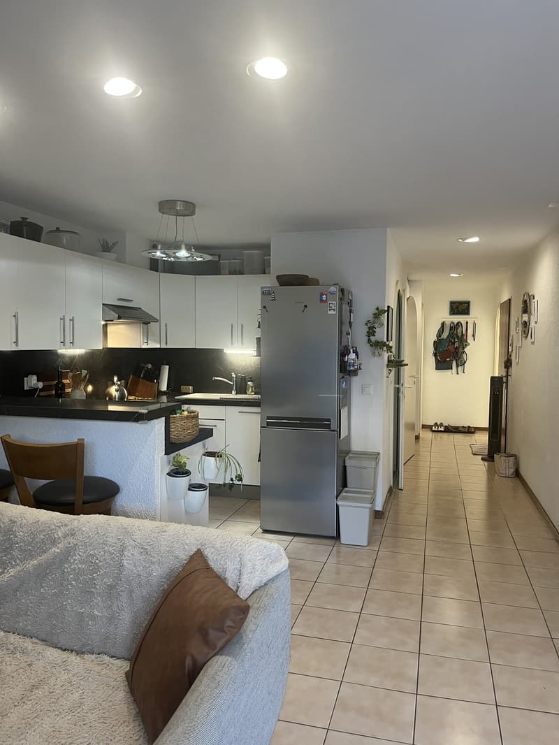 Magnifique Appartement 4,5 pièces près du lac (2)