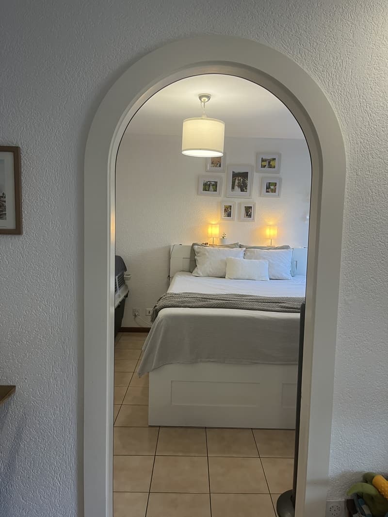 Magnifique Appartement 4,5 pièces près du lac (3)