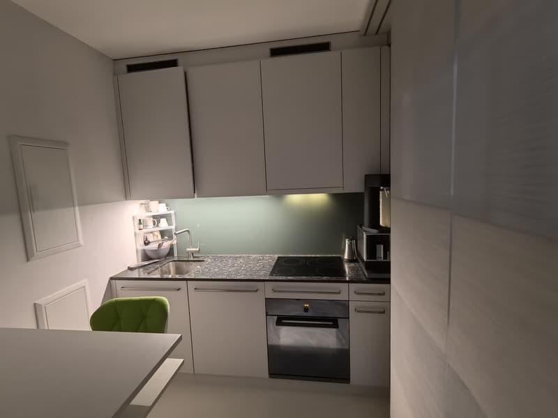 Modern 1.5-Room Apartment Just 450m from Zurich Main Station (available immediately) (4)