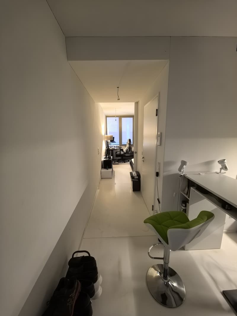 Modern 1.5-Room Apartment Just 450m from Zurich Main Station (available immediately) (1)