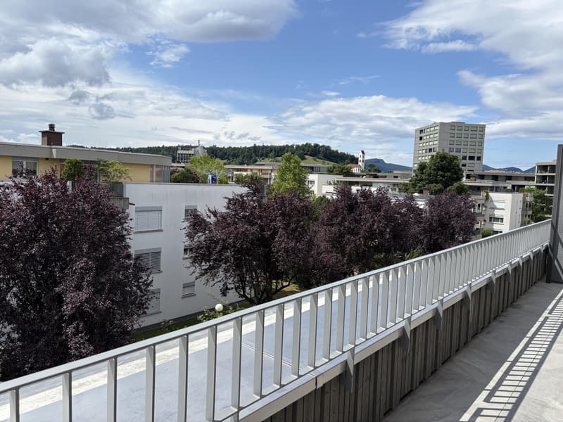 Charmante 3.5-Zi-Attikawohnung im Neubau in Suhr AG (3)