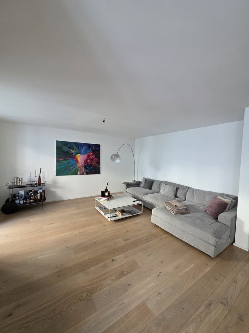 Premium City Center Apartment 4-5 Months, Fully Inclusive- Stauffacher- Steps from Everything (2)