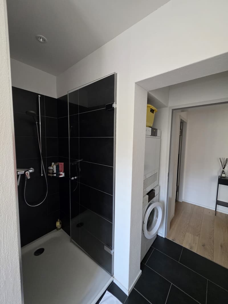 Premium City Center Apartment 4-5 Months, Fully Inclusive- Stauffacher- Steps from Everything (9)