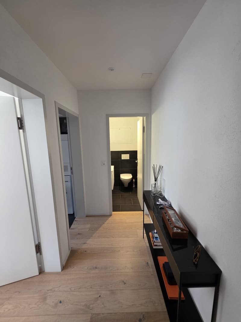Premium City Center Apartment 4-5 Months, Fully Inclusive- Stauffacher- Steps from Everything (10)