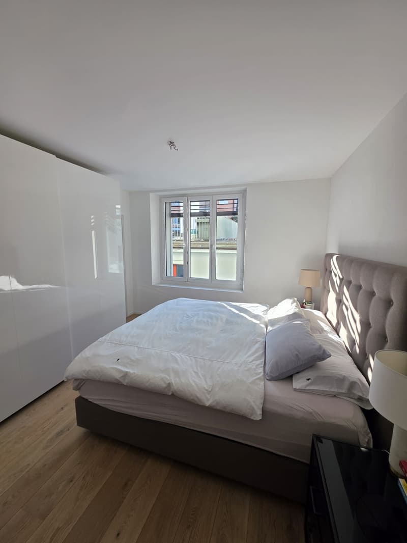 Premium City Center Apartment 4-5 Months, Fully Inclusive- Stauffacher- Steps from Everything (7)