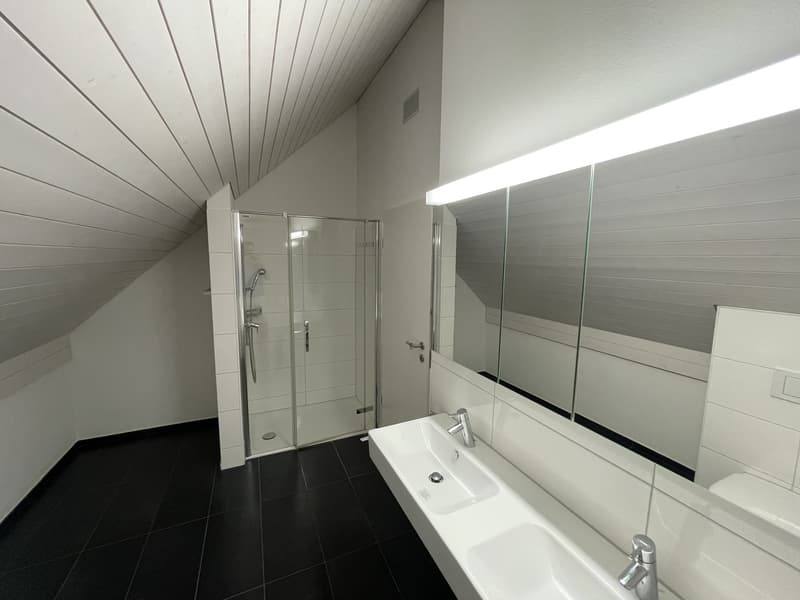 Moderne 4.5-Zimmer-Dachwohnung an sonniger und ruhiger Lage! (6)