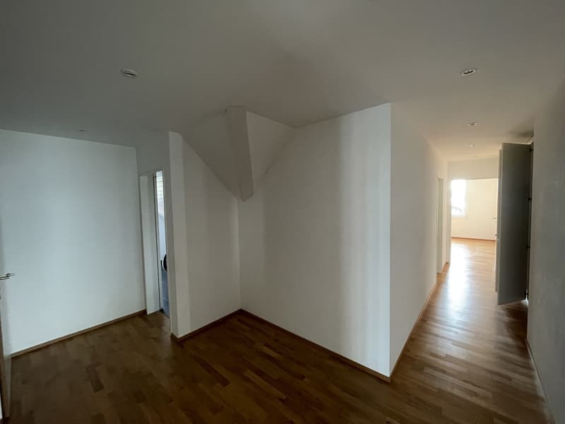 Moderne 4.5-Zimmer-Dachwohnung an sonniger und ruhiger Lage! (5)