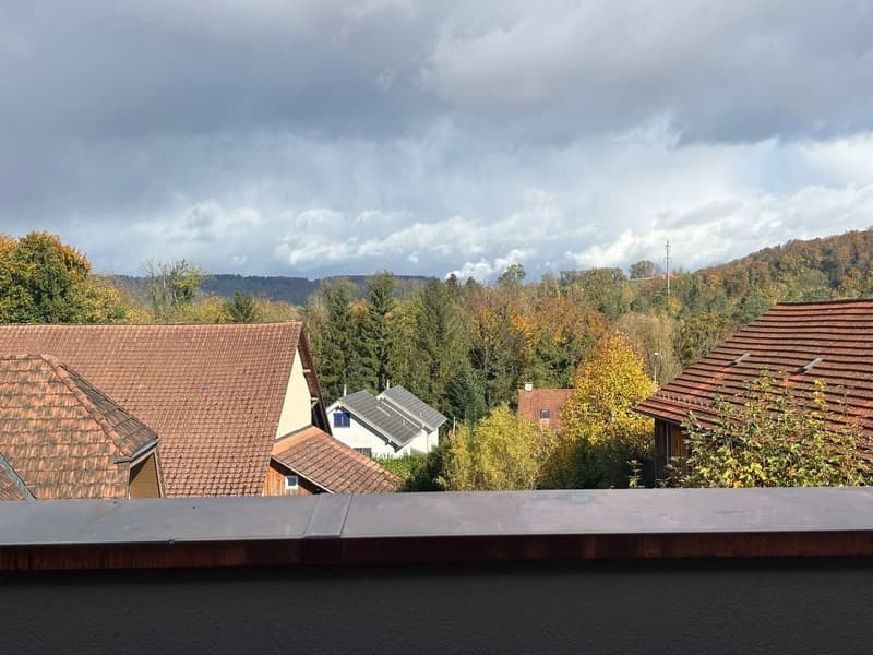 1.5-Zimmerwohnung  modern, kompakt und mit Balkon in Mülligen (4)