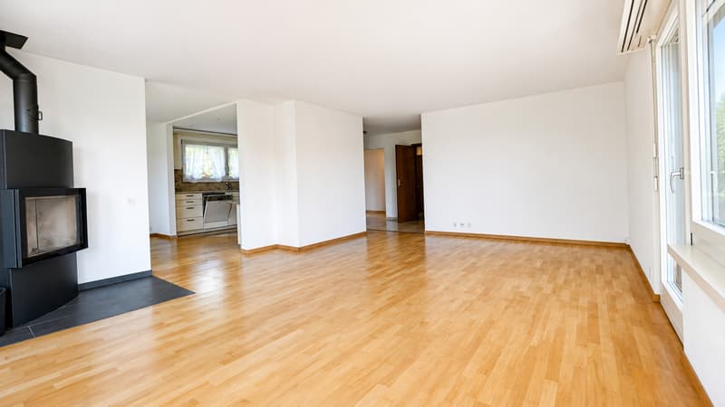 Freistehendes 4.5-Zimmer Einfamilienhaus mit grossem Garten (8)