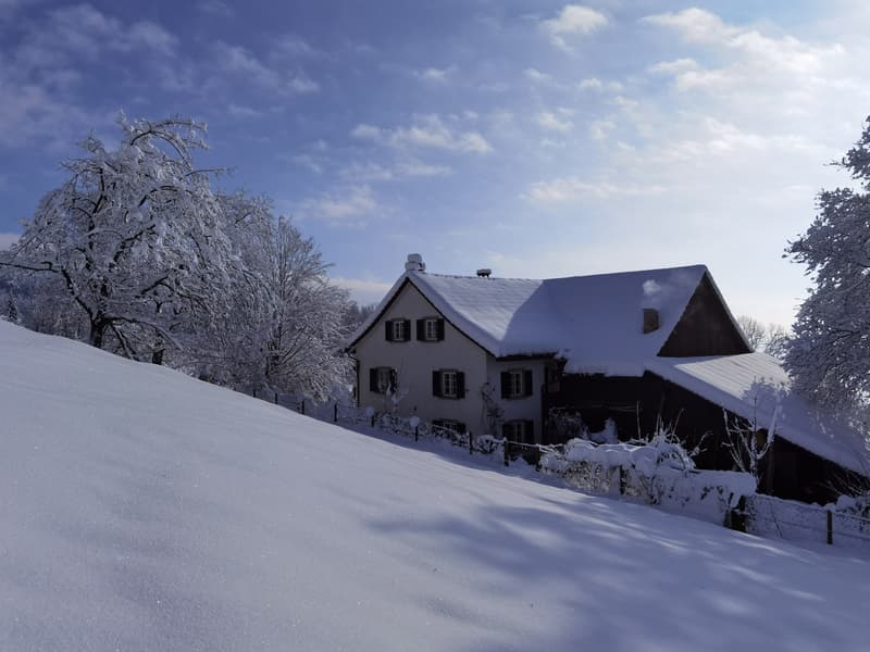 Freihstehendes, kernsaniertes (2026) Bauernhaus mit Seesicht (4)