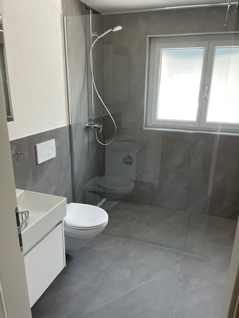 Erstvermietung neue 4.5 Zimmerwohnungen mit Balkon in totalrenoviertem Haus (8)