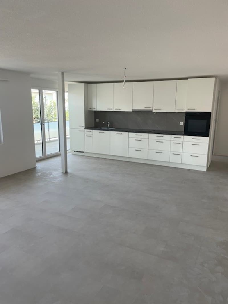 Erstvermietung neue 4.5 Zimmerwohnungen mit Balkon in totalrenoviertem Haus (3)