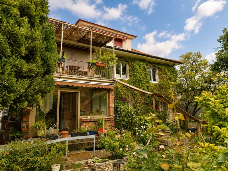 Charmante 4½-Zimmer-Wohnung mit Balkon und Gartenblick / 3-Familienhaus (4)