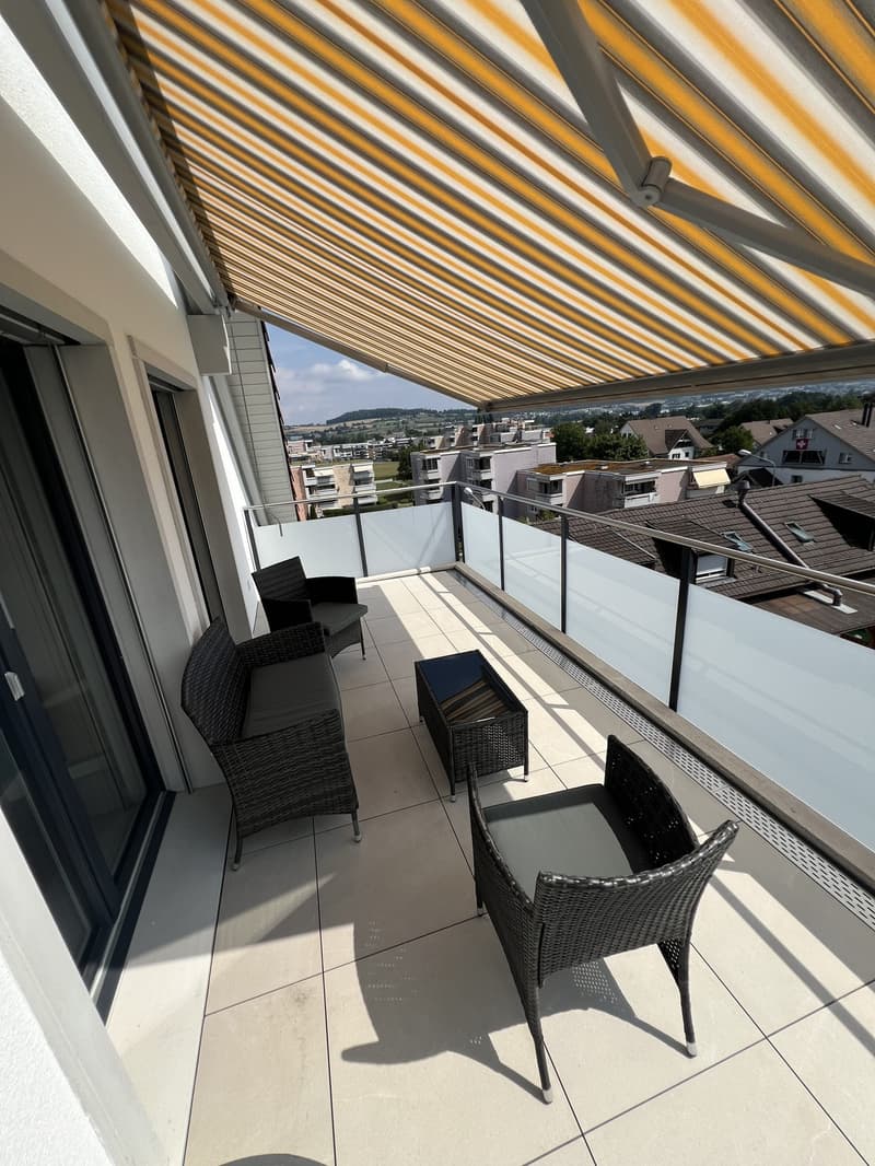 Neubau Loft Mieten in Zürich/Dällikon (7)