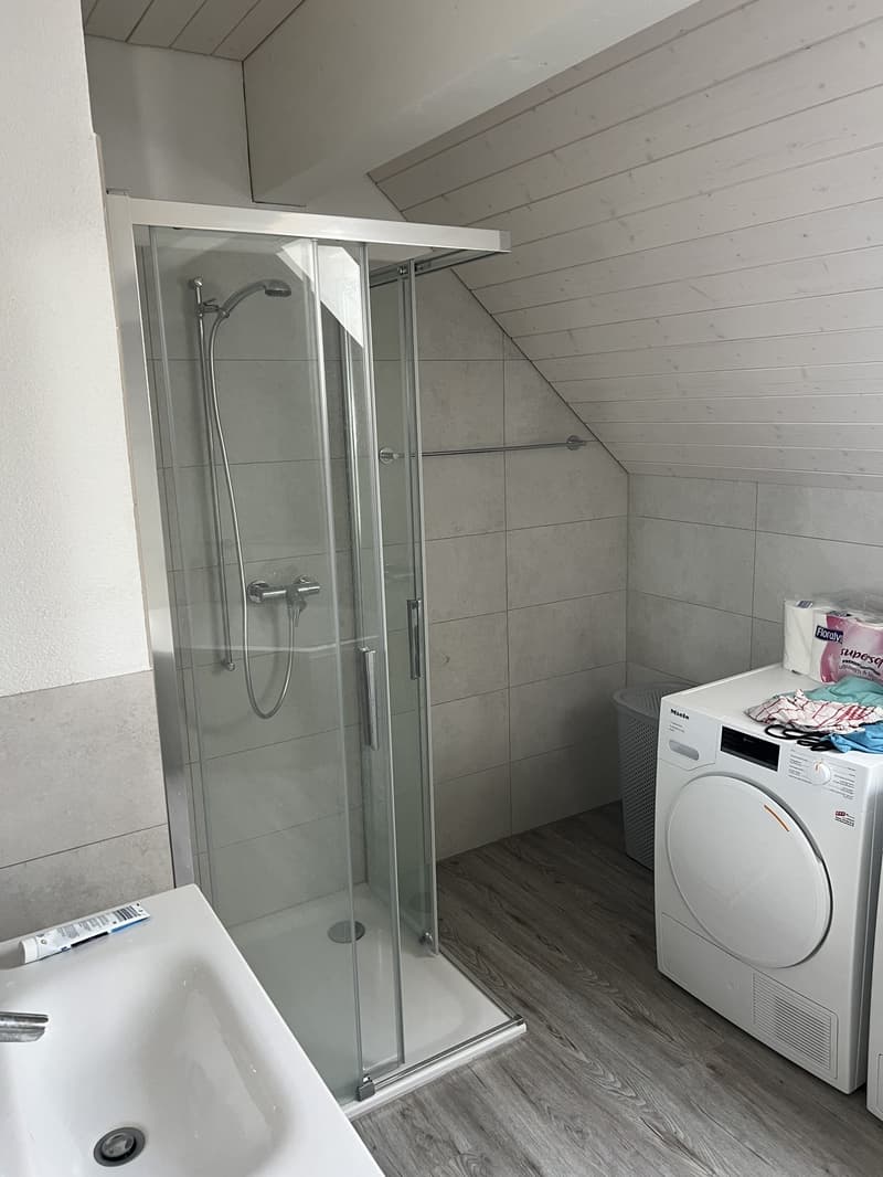 Neubau Loft Mieten in Zürich/Dällikon (5)