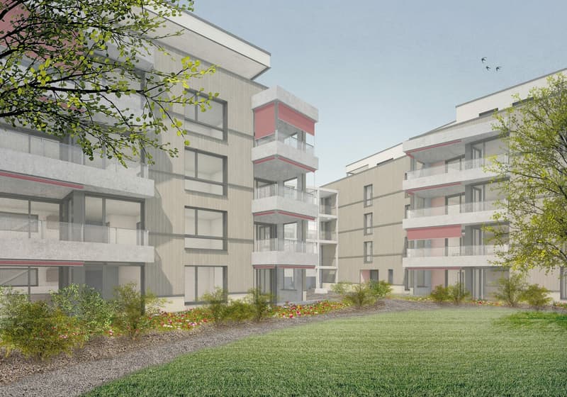 4 ½ Zimmer-Wohnung, 8910 Affoltern am Albis (1)