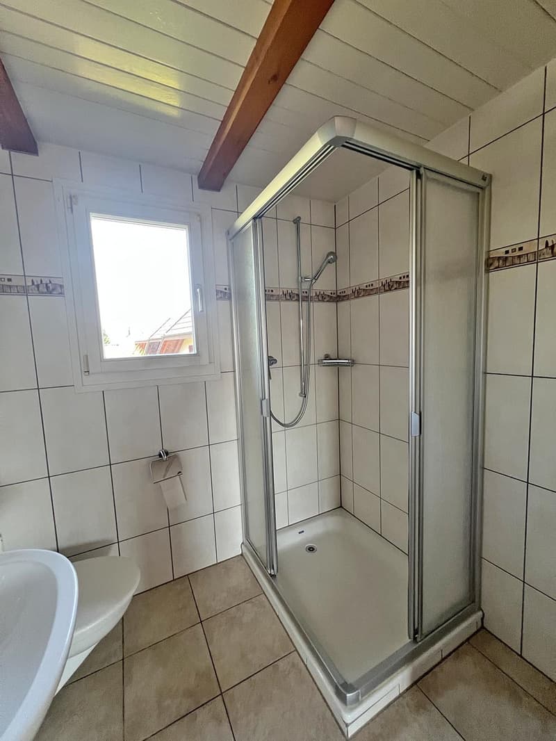Einfamilienhaus mit Garage und Gartenhaus (11)