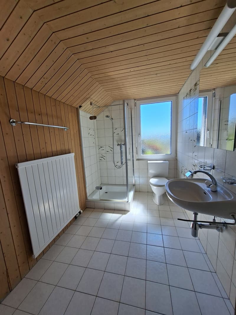 Bad mit Dusche und Estrichtüre