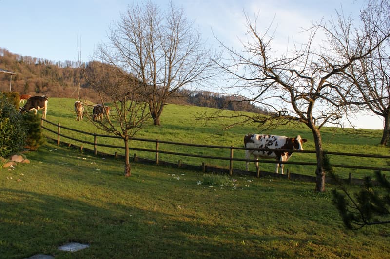 Garten angrenzend Freihaltezone