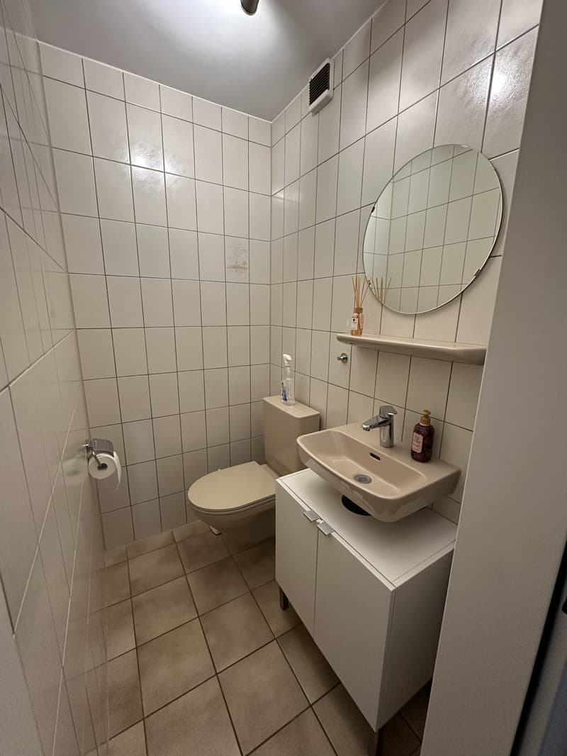 Helle 4.5-Zimmer-Wohnung mit Balkon in Winterthur  ab 01.Oktober 2026 verfügbar (9)