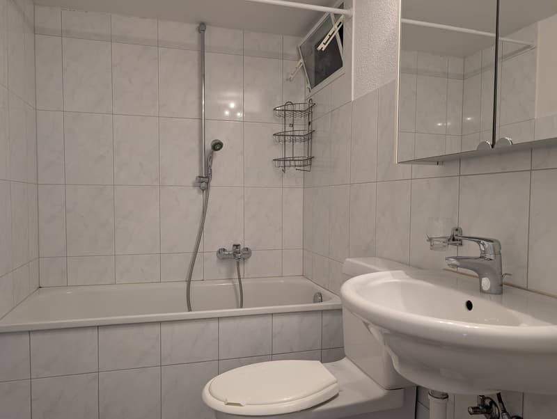 Schöne 2-Zimmerwohnung an zentraler Lage in Liestal (13)