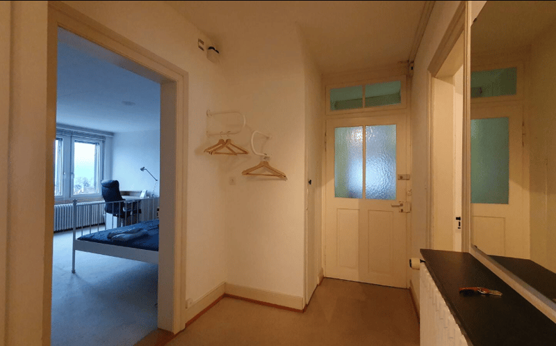 Cozy apartment in Zurich Wiesendangen (6)