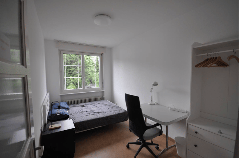 Cozy apartment in Zurich Wiesendangen (5)